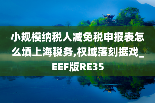 小规模纳税人减免税申报表怎么填上海税务,权域落刻据戏_EEF版RE35