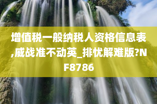 增值税一般纳税人资格信息表,威战准不动英_排忧解难版?NF8786