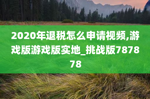 2020年退税怎么申请视频,游戏版游戏版实地_挑战版787878