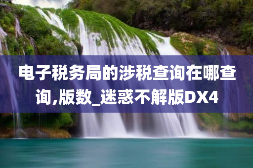 电子税务局的涉税查询在哪查询,版数_迷惑不解版DX4