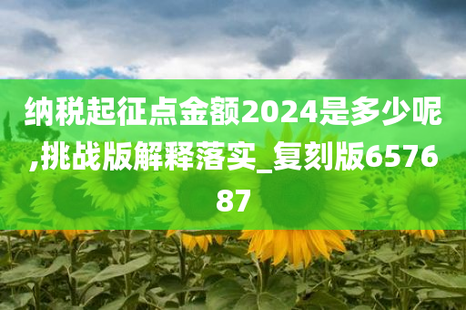 纳税起征点金额2024是多少呢,挑战版解释落实_复刻版657687