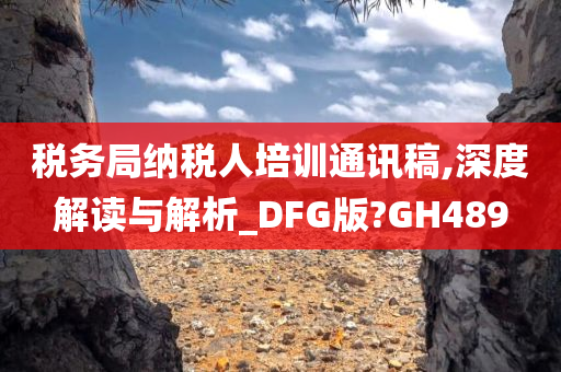 税务局纳税人培训通讯稿,深度解读与解析_DFG版?GH489