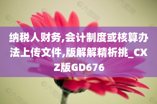 纳税人财务,会计制度或核算办法上传文件,版解解精析挑_CXZ版GD676