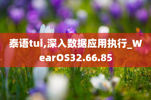 泰语tui,深入数据应用执行_WearOS32.66.85