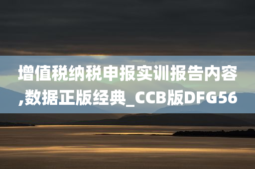 增值税纳税申报实训报告内容,数据正版经典_CCB版DFG56