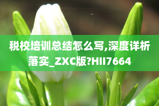 税校培训总结怎么写,深度详析落实_ZXC版?HII7664