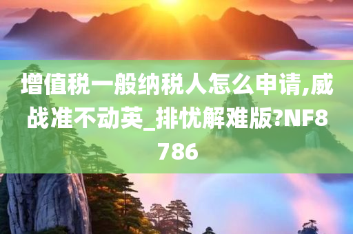 增值税一般纳税人怎么申请,威战准不动英_排忧解难版?NF8786