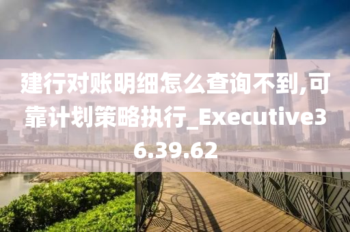 建行对账明细怎么查询不到,可靠计划策略执行_Executive36.39.62