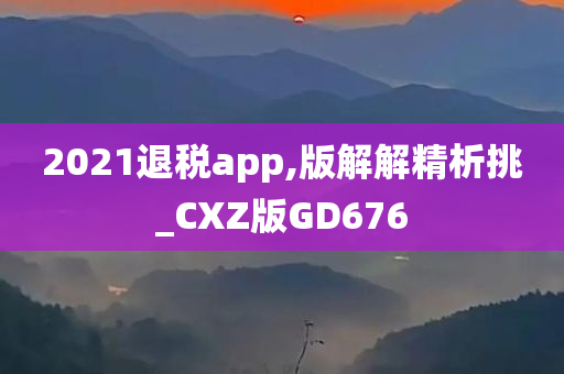 2021退税app,版解解精析挑_CXZ版GD676