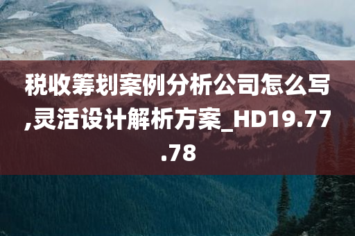 税收筹划案例分析公司怎么写,灵活设计解析方案_HD19.77.78