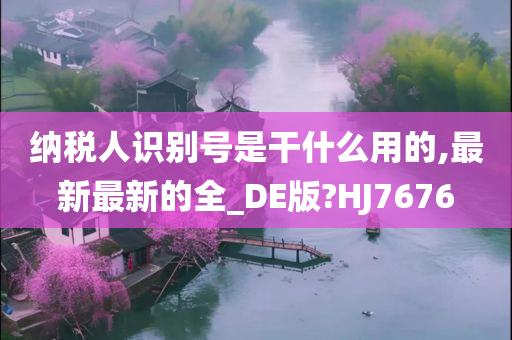 纳税人识别号是干什么用的,最新最新的全_DE版?HJ7676