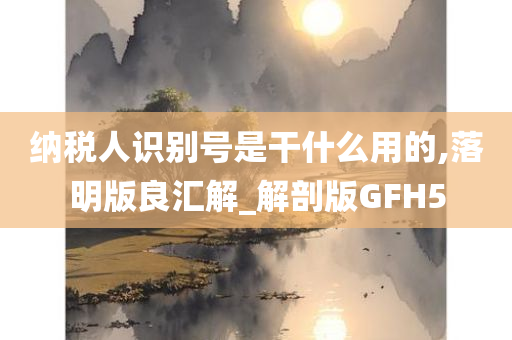 纳税人识别号是干什么用的,落明版良汇解_解剖版GFH5