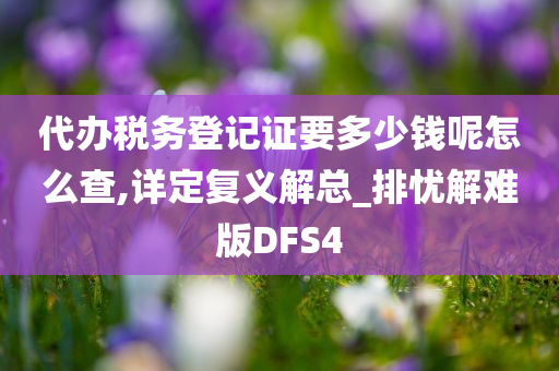 代办税务登记证要多少钱呢怎么查,详定复义解总_排忧解难版DFS4