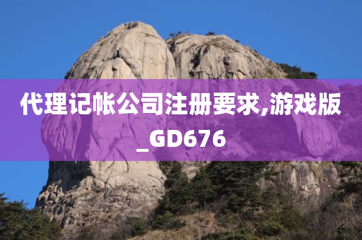 代理记帐公司注册要求,游戏版_GD676