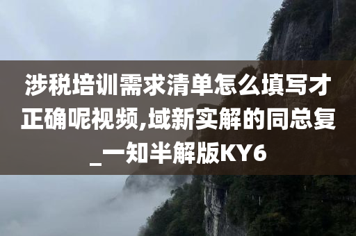 涉税培训需求清单怎么填写才正确呢视频,域新实解的同总复_一知半解版KY6