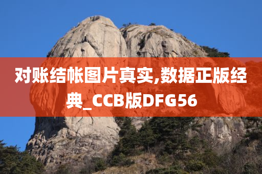 对账结帐图片真实,数据正版经典_CCB版DFG56