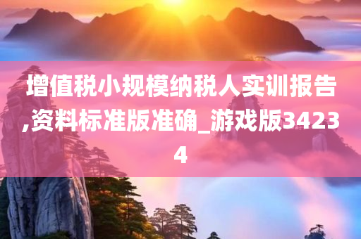 增值税小规模纳税人实训报告,资料标准版准确_游戏版34234