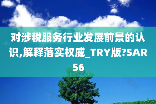 对涉税服务行业发展前景的认识,解释落实权威_TRY版?SAR56