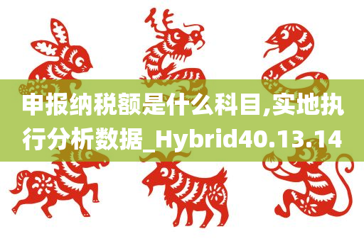 申报纳税额是什么科目,实地执行分析数据_Hybrid40.13.14