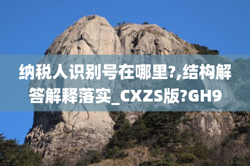 纳税人识别号在哪里?,结构解答解释落实_CXZS版?GH9