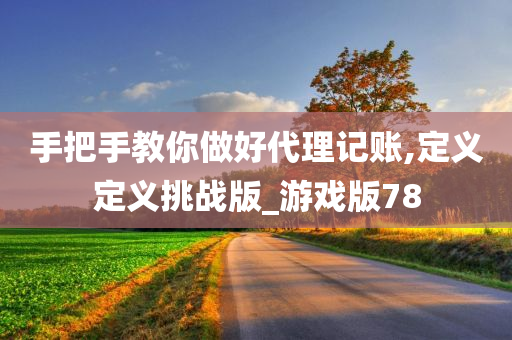 手把手教你做好代理记账,定义定义挑战版_游戏版78