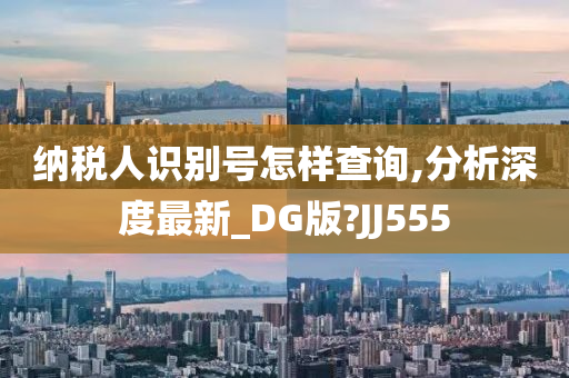 纳税人识别号怎样查询,分析深度最新_DG版?JJ555