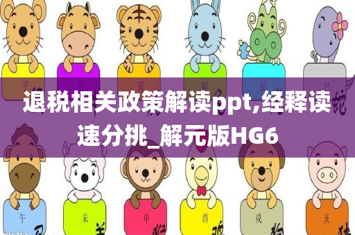 退税相关政策解读ppt,经释读速分挑_解元版HG6