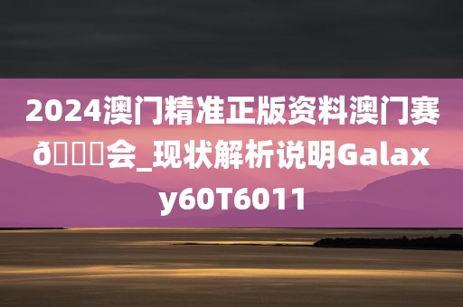 2024澳门精准正版资料澳门赛🐎会_现状解析说明Galaxy60T6011