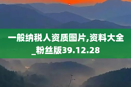 一般纳税人资质图片,资料大全_粉丝版39.12.28