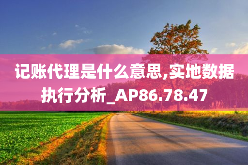 记账代理是什么意思,实地数据执行分析_AP86.78.47