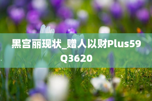 黑宫丽现状_赠人以财Plus59Q3620