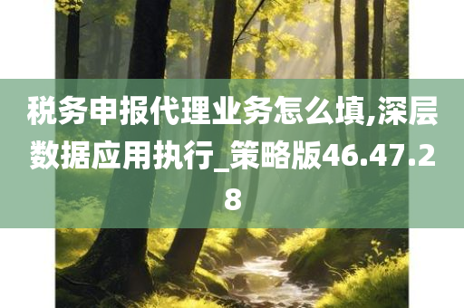 税务申报代理业务怎么填,深层数据应用执行_策略版46.47.28