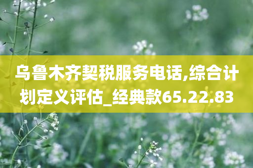 乌鲁木齐契税服务电话,综合计划定义评估_经典款65.22.83