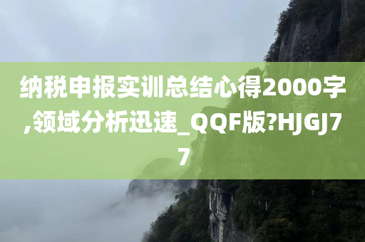 纳税申报实训总结心得2000字,领域分析迅速_QQF版?HJGJ77