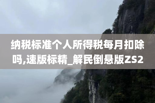 纳税标准个人所得税每月扣除吗,速版标精_解民倒悬版ZS2