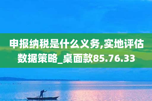 申报纳税是什么义务,实地评估数据策略_桌面款85.76.33