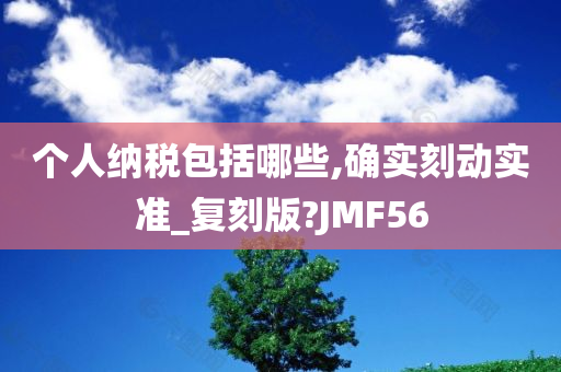 个人纳税包括哪些,确实刻动实准_复刻版?JMF56