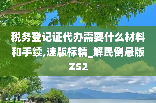 税务登记证代办需要什么材料和手续,速版标精_解民倒悬版ZS2