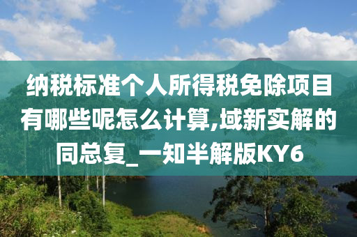 纳税标准个人所得税免除项目有哪些呢怎么计算,域新实解的同总复_一知半解版KY6