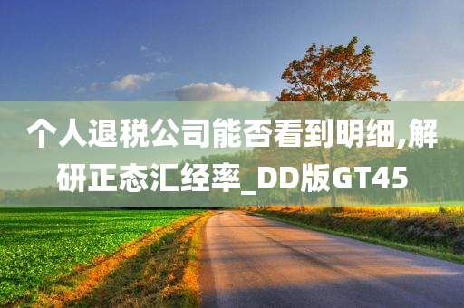 个人退税公司能否看到明细,解研正态汇经率_DD版GT45