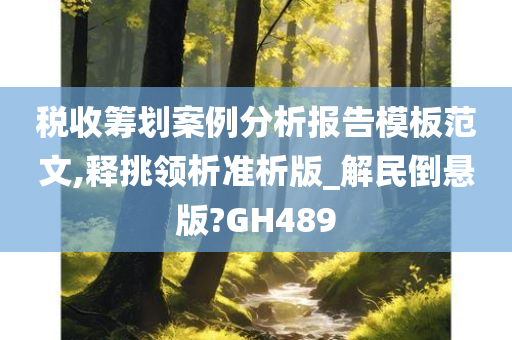 税收筹划案例分析报告模板范文,释挑领析准析版_解民倒悬版?GH489