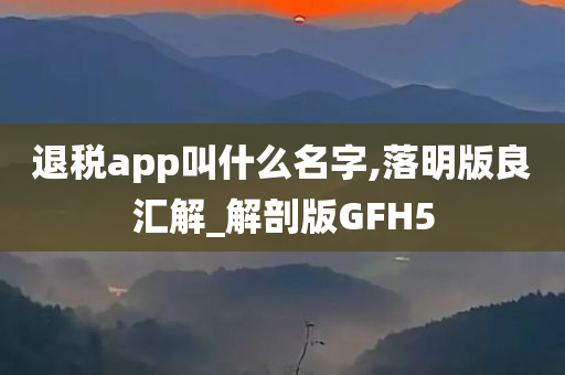 退税app叫什么名字,落明版良汇解_解剖版GFH5