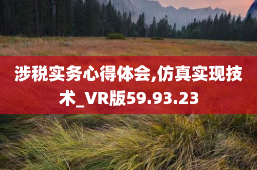 涉税实务心得体会,仿真实现技术_VR版59.93.23