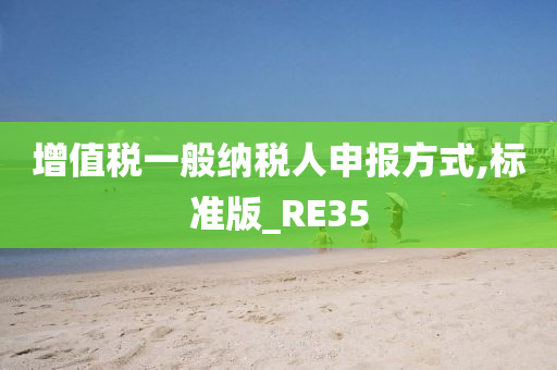 增值税一般纳税人申报方式,标准版_RE35