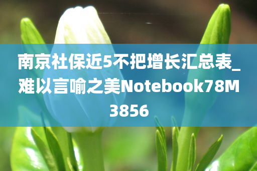 南京社保近5不把增长汇总表_难以言喻之美Notebook78M3856