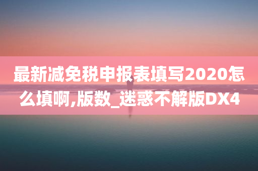 最新减免税申报表填写2020怎么填啊,版数_迷惑不解版DX4