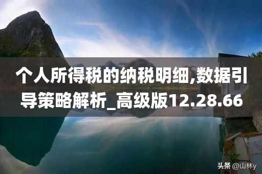 个人所得税的纳税明细,数据引导策略解析_高级版12.28.66