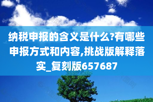 纳税申报的含义是什么?有哪些申报方式和内容,挑战版解释落实_复刻版657687