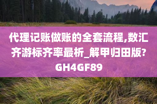 代理记账做账的全套流程,数汇齐游标齐率最析_解甲归田版?GH4GF89