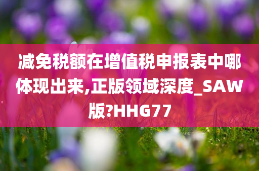 减免税额在增值税申报表中哪体现出来,正版领域深度_SAW版?HHG77